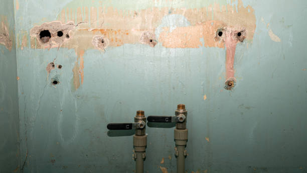 Best Mold removal after water damage  in Terrace Park, OH