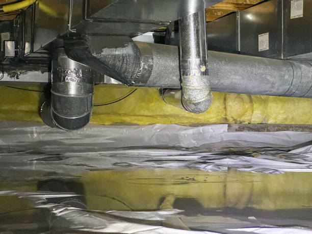 Best Flood restoration services  in Terrace Park, OH
