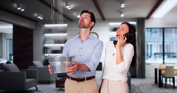 Best Professional water damage repair  in Terrace Park, OH