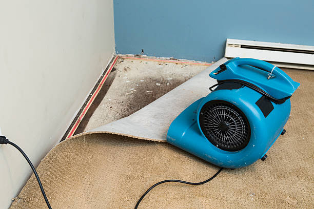 Best Water damage contractors near me  in Terrace Park, OH