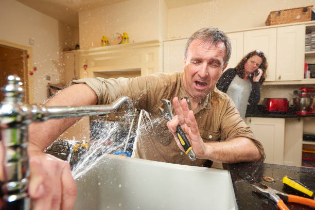 Best Water damage cleanup near me  in Terrace Park, OH